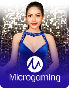 AP33 slot: microgaming